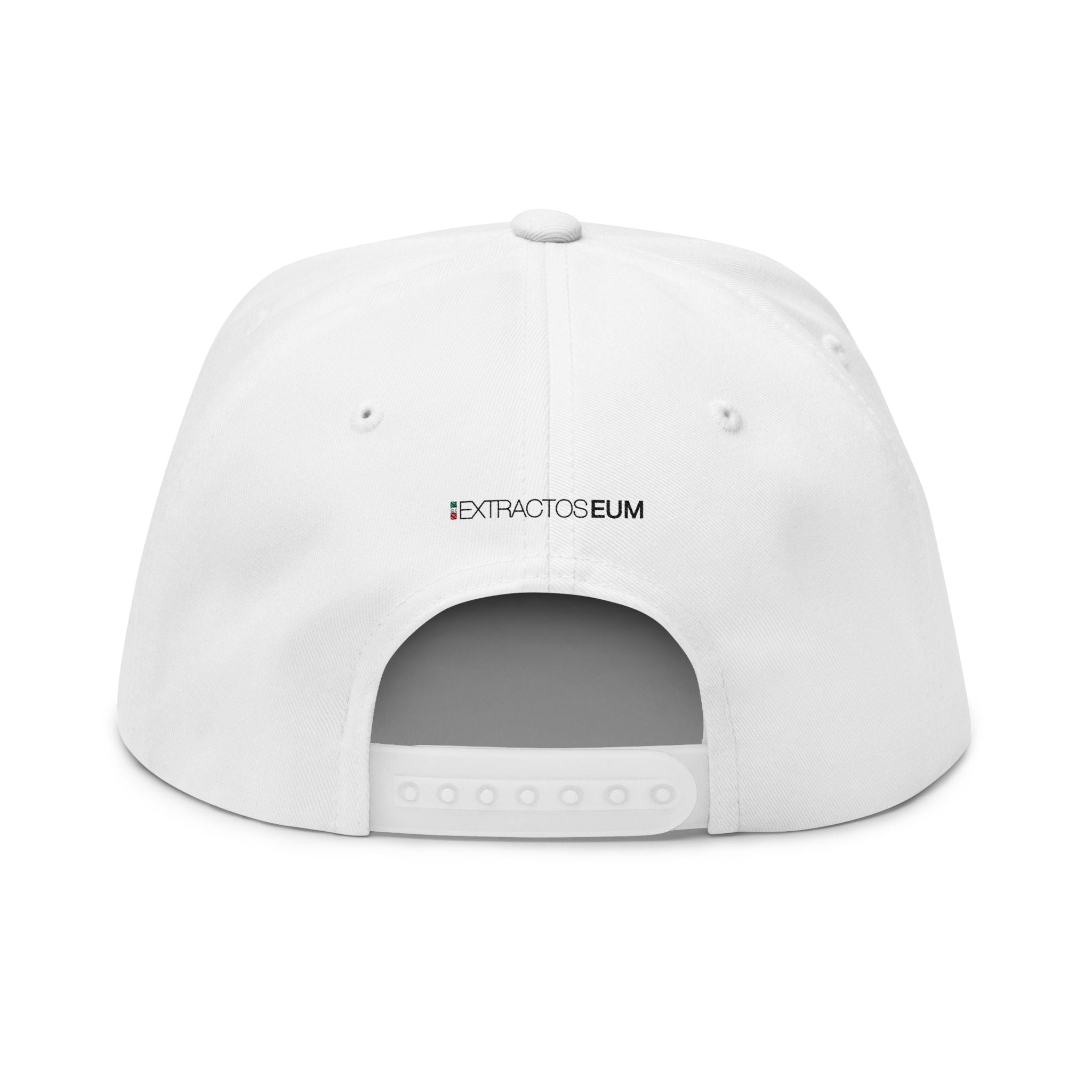 Gorra plana con visera bordada y elegante - Extractos EUM